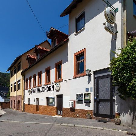 Hotel Zum Waldhorn Peterstal Exteriér fotografie